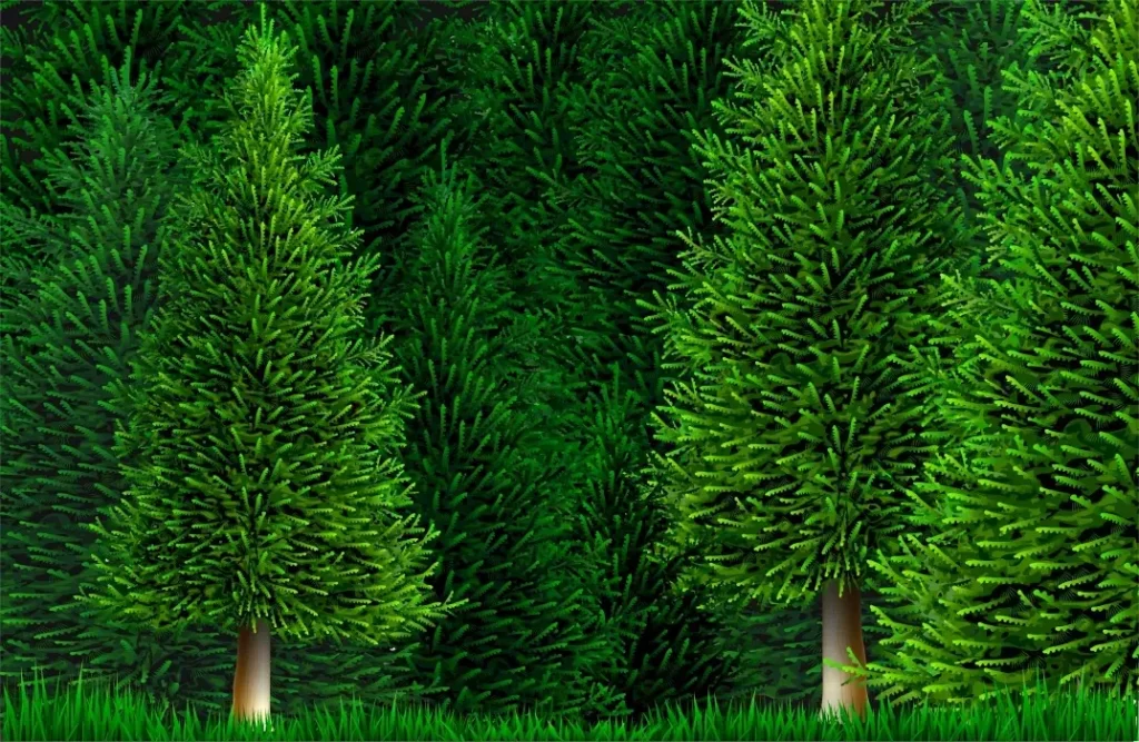 دانلود وکتور طبیعت و درخت کاج