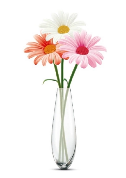 دانلود گل بابونه