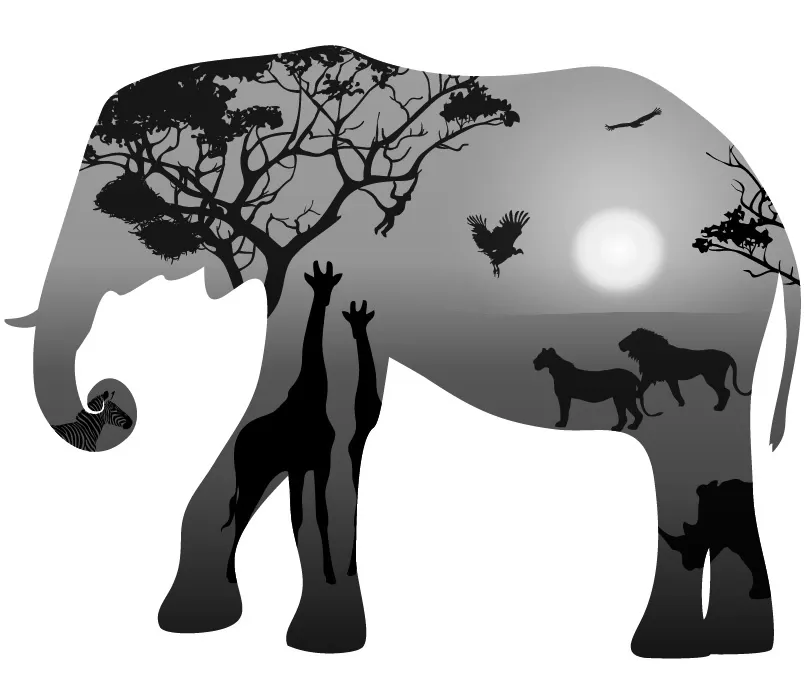 طراحی سیاه و سفید حیات وحش آفریقا و فیل