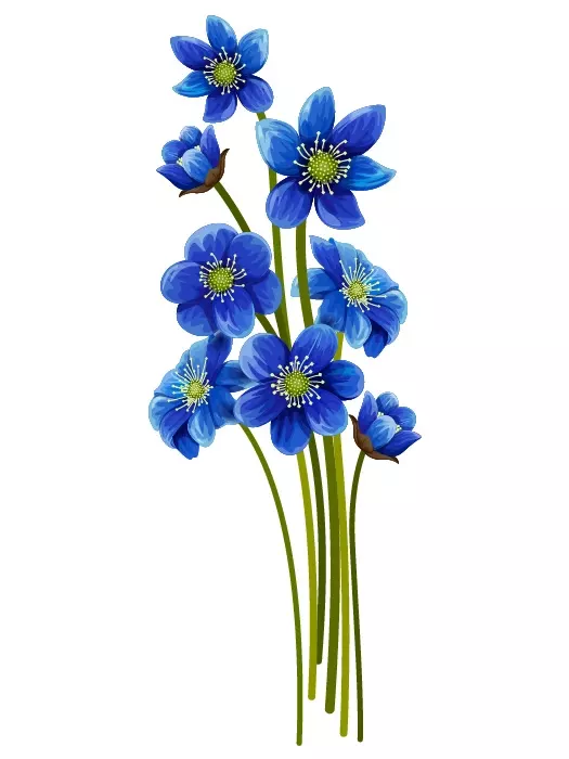 وکتور گل آبی رنگ طبیعی
