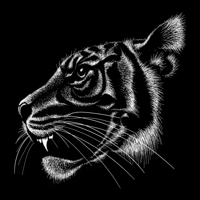 دانلود وکتور طراحی سیاه و سفید حیوانات ببر