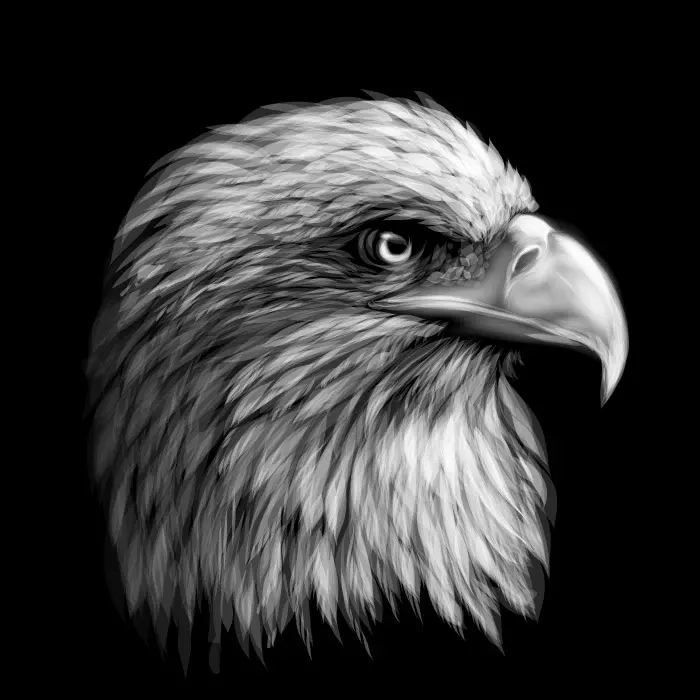 وکتور طراحی سیاه و سفید هنری عقاب