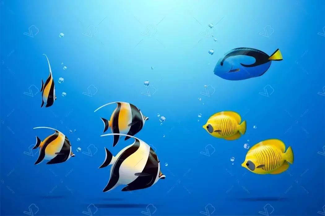 وکتور طراحی اقیانوس و ماهی ها
