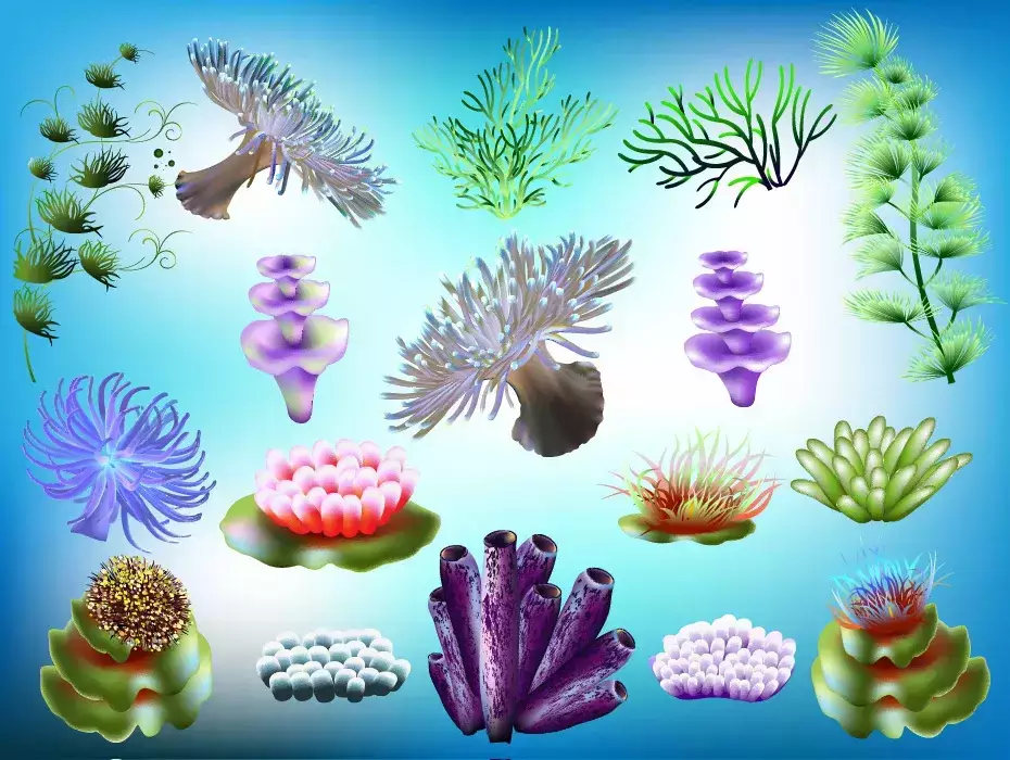 وکتور گیاهان دریایی اقیانوس