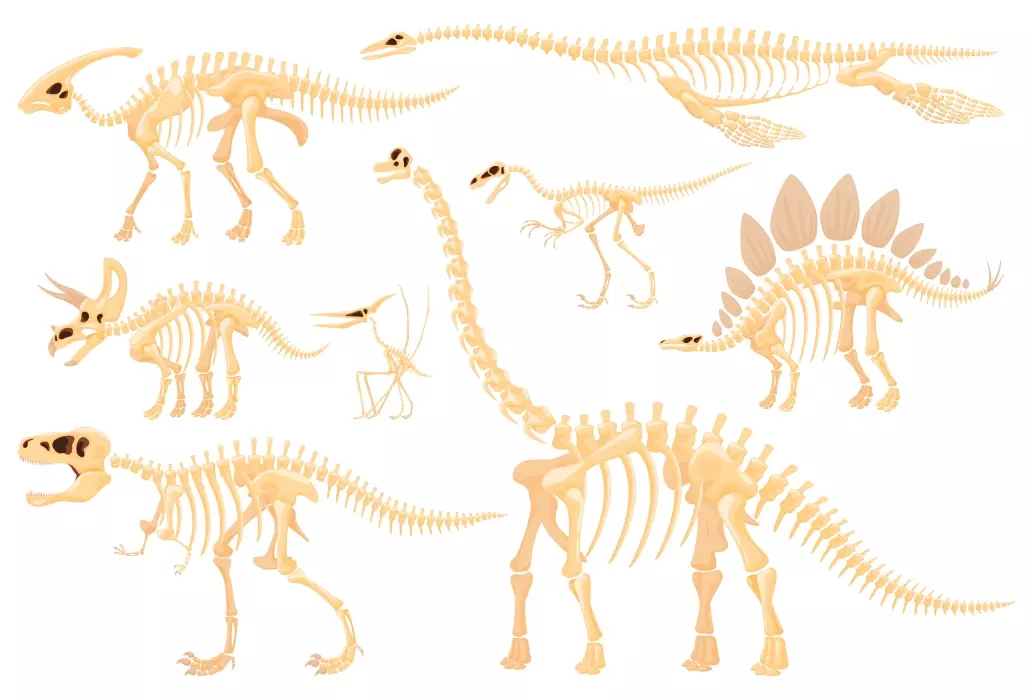 دانلود وکتور مجموعه طراحی استخوان های دایناسور