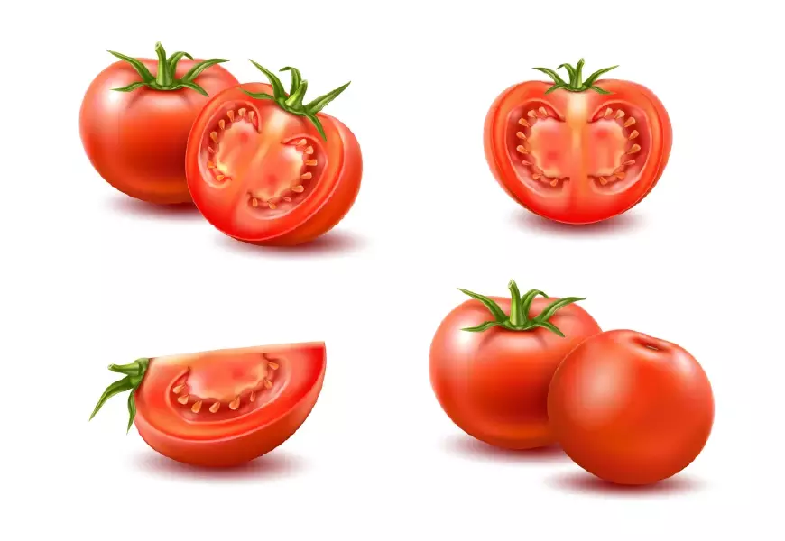 دانلود وکتور گوجه فرنگی واقع بینانه