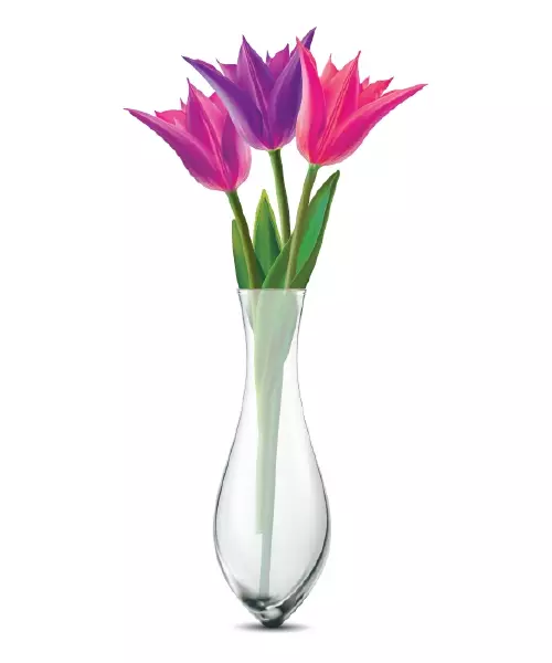 دانلود وکتور گل طبیعی و گلدان شیشه ای
