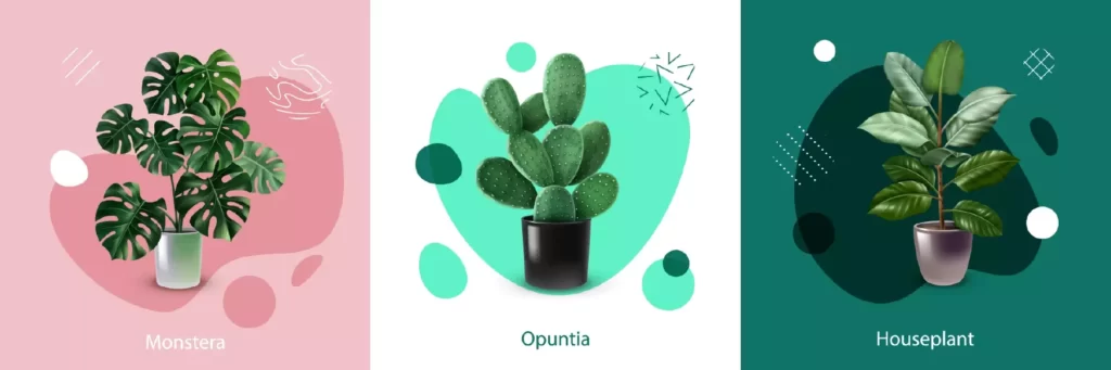 دانلود وکتور گل آپارتمانی و کاکتوس