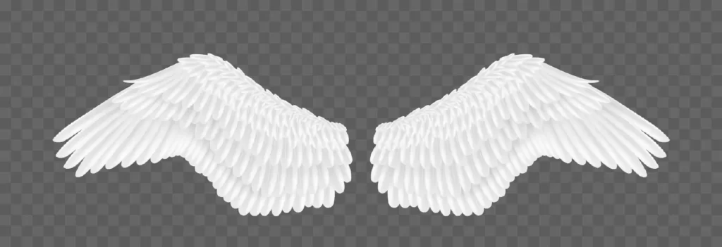 دانلود وکتور بال سفید