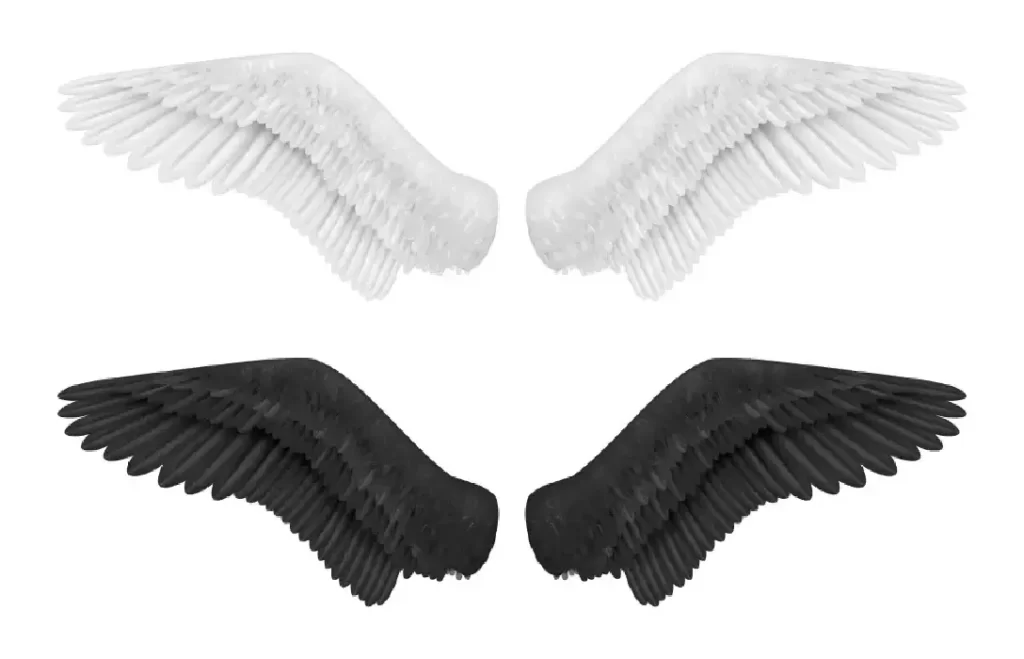 دانلود وکتور طراحی واقع بینانه بال