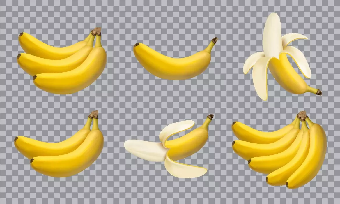 Vector realistic bananas