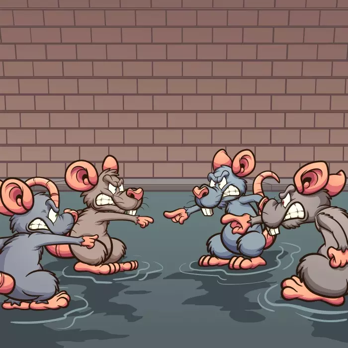 دانلود وکتور طراحی و نقاشی کارتونی موش ها