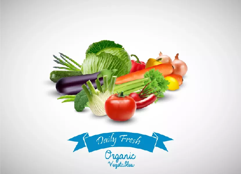 وکتور صیفی جات شماره سه