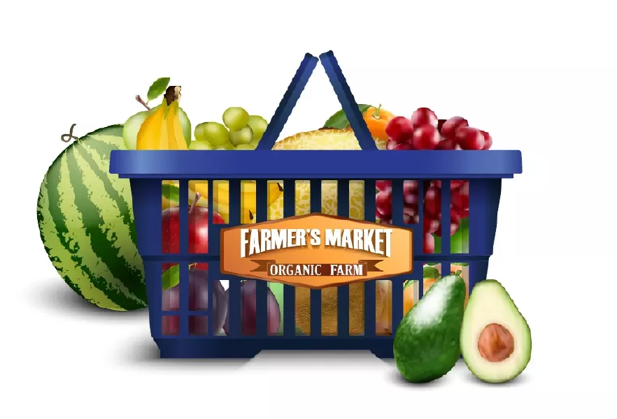 وکتور سبد میوه شماره سه