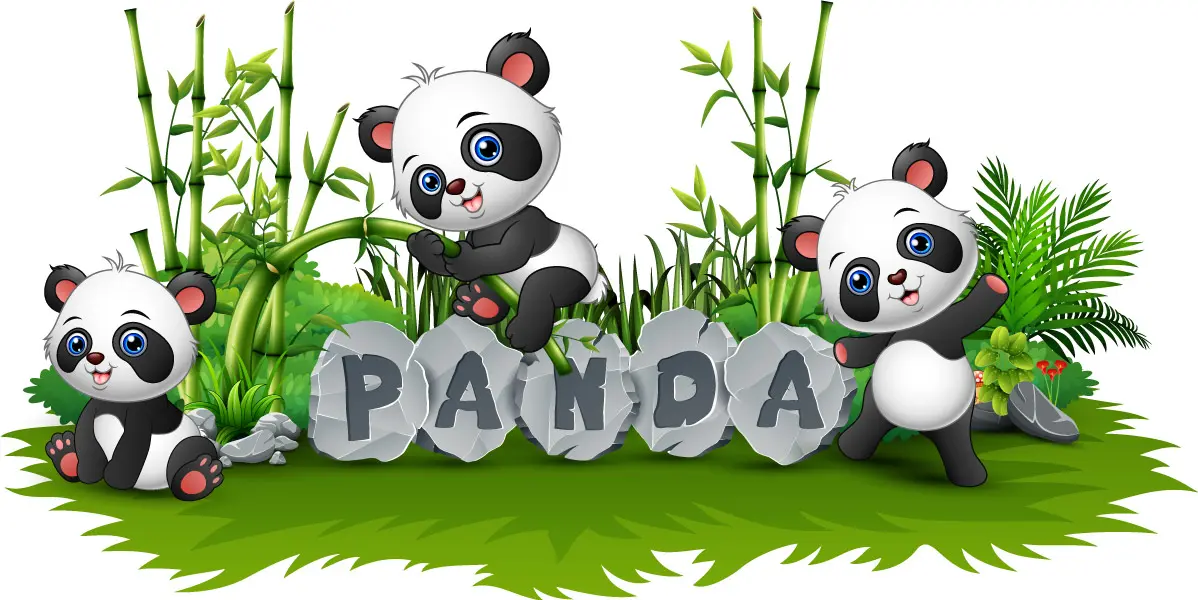 وکتور کارتونی خرس پاندا