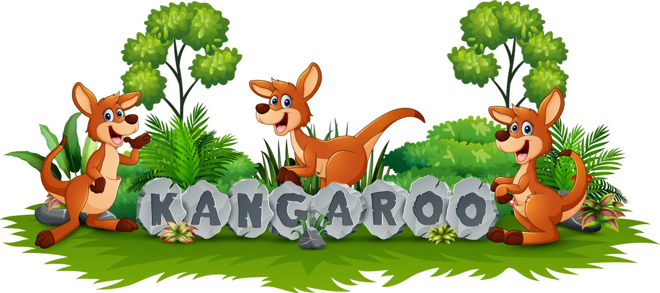 وکتور کارتونی کانگورو