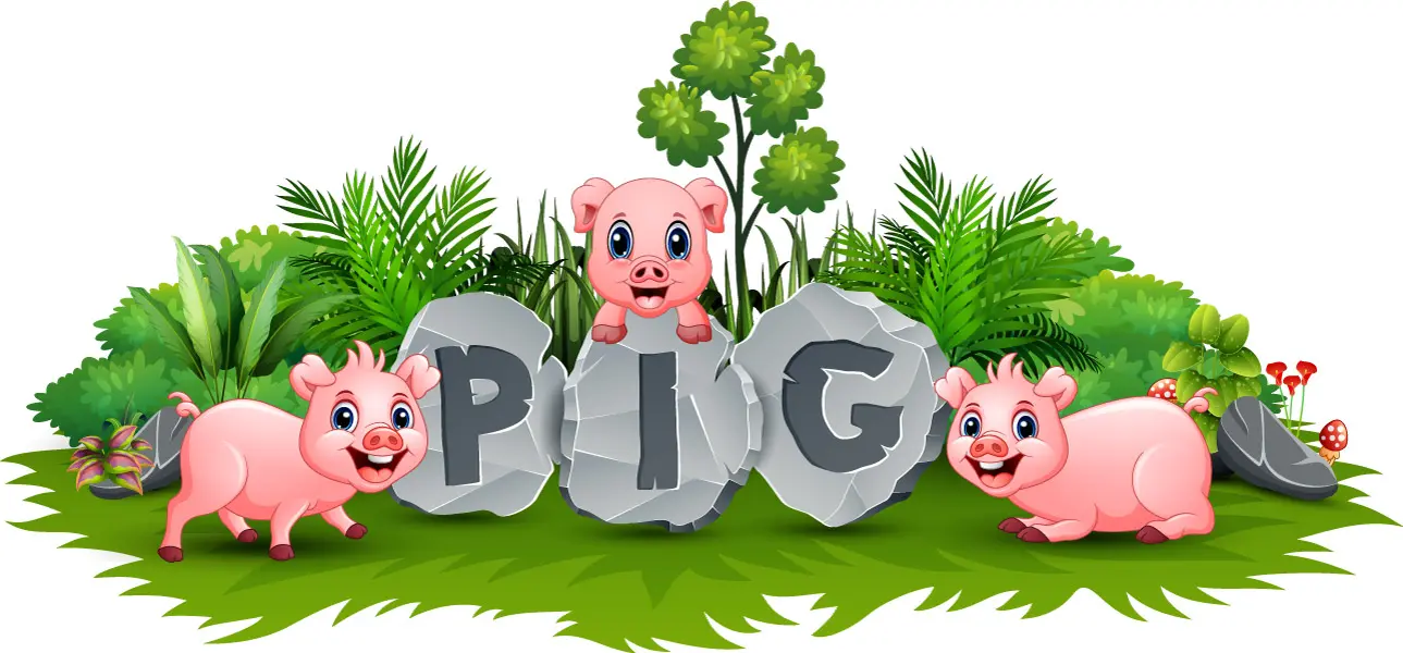 وکتور کارتونی خوک