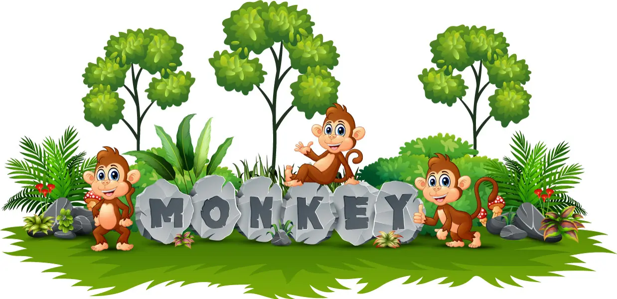 وکتور کارتونی میمون