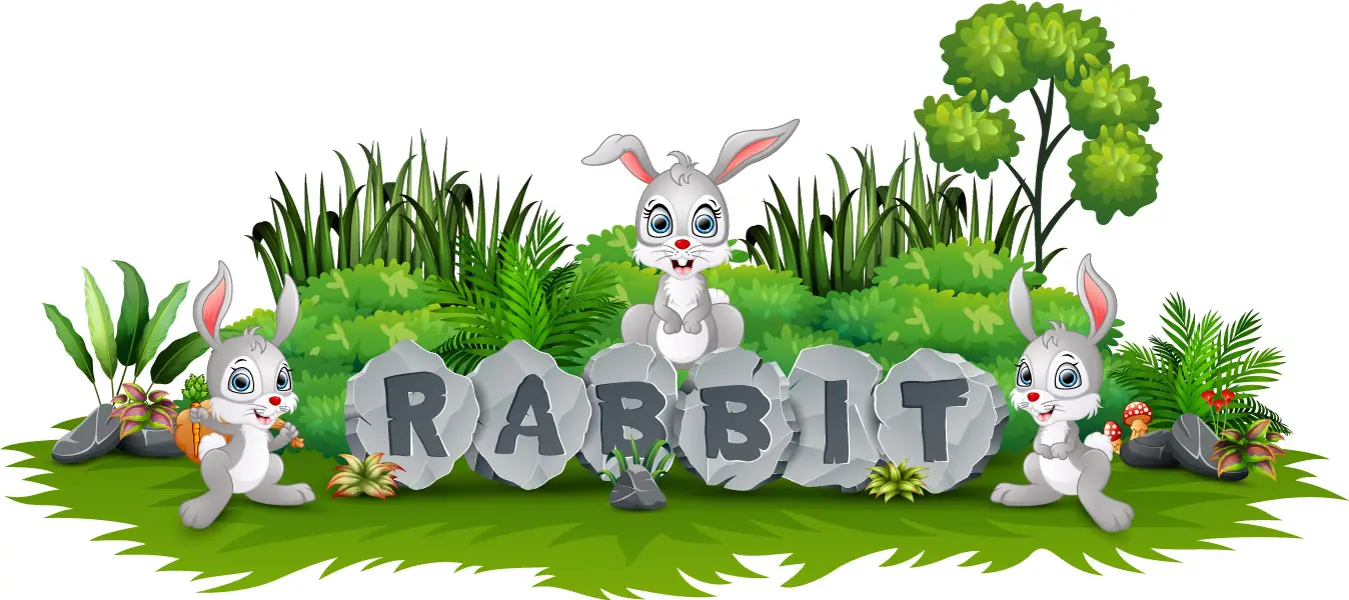 وکتور کارتونی خرگوش