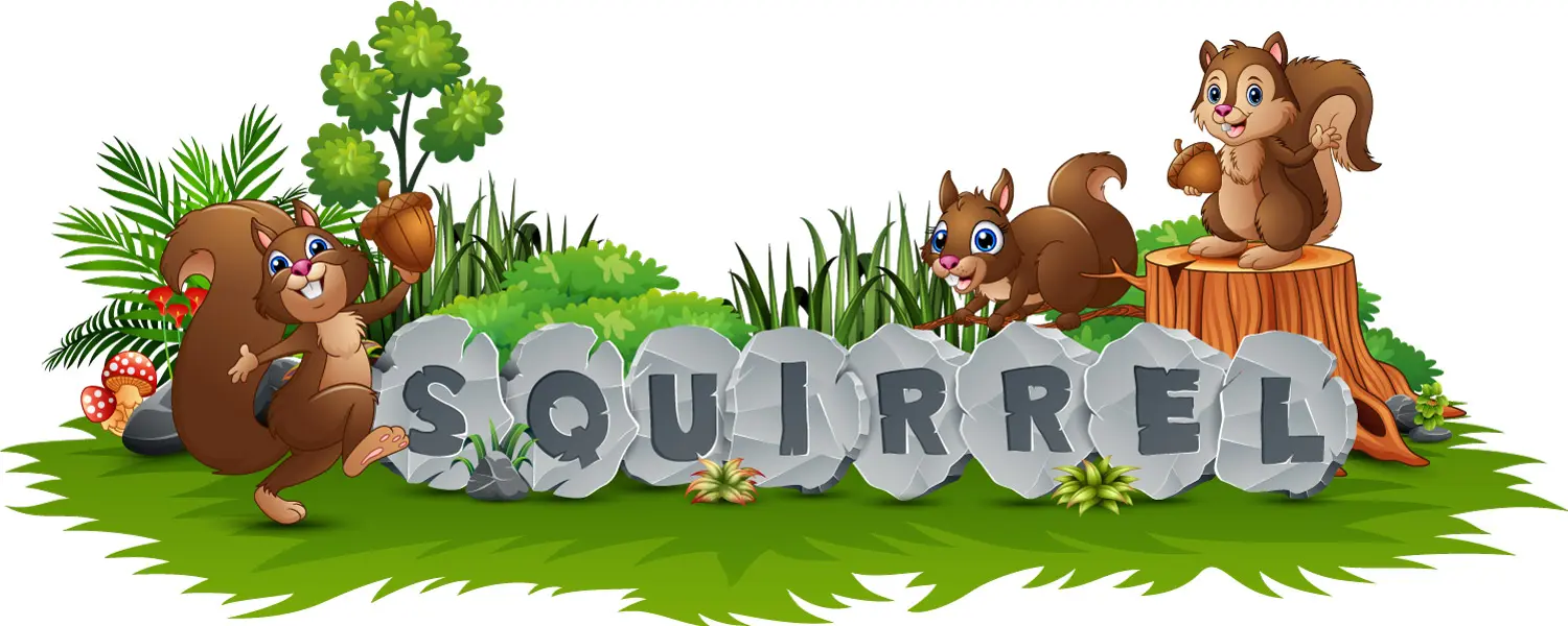 وکتور کارتونی سنجاب