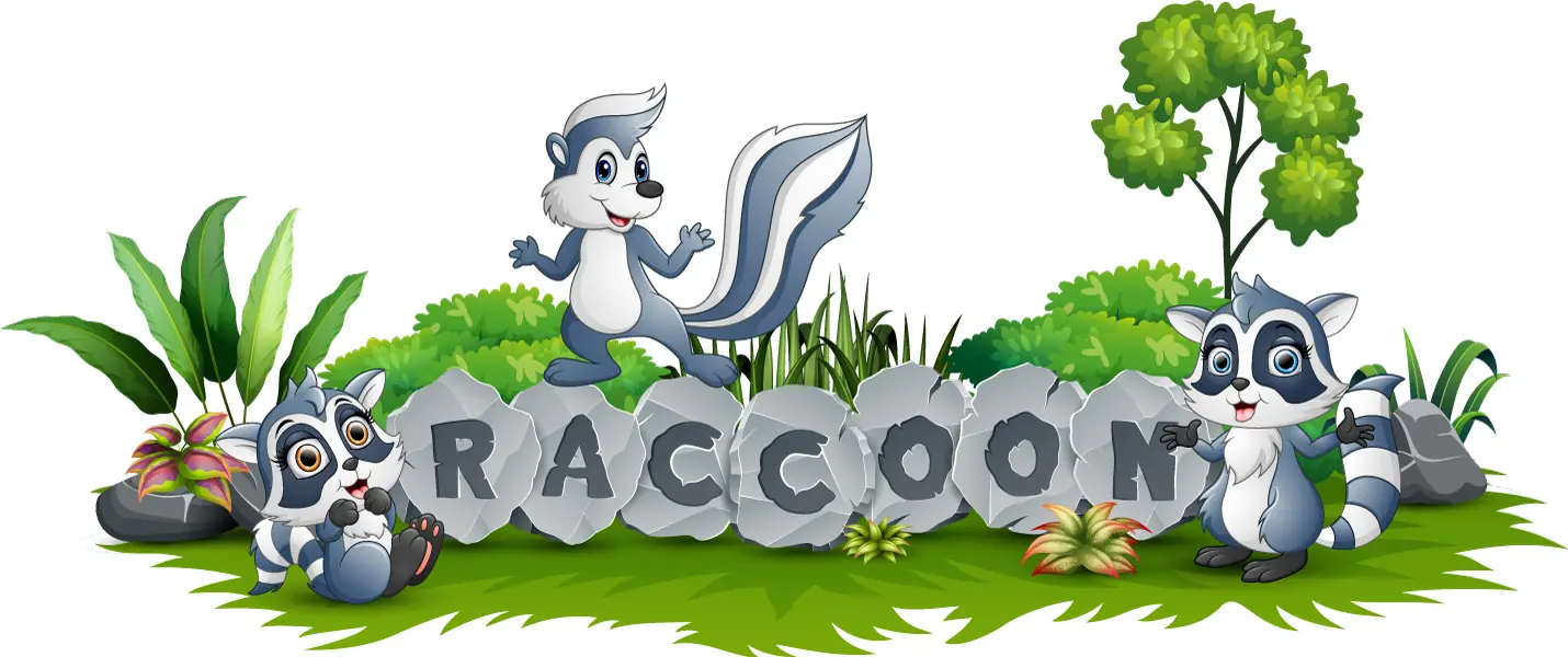 وکتور کارتونی راکون