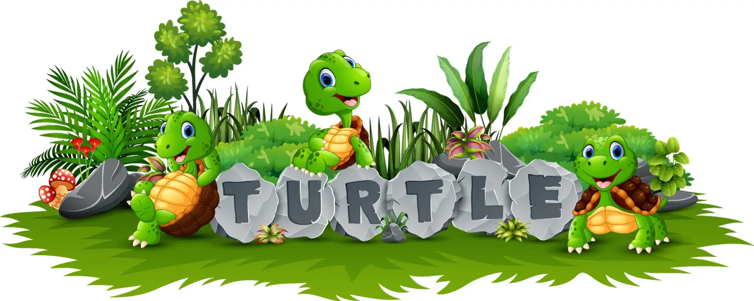 وکتور کارتونی لاک پشت