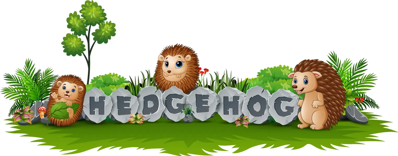 وکتور کارتونی جوجه تیغی