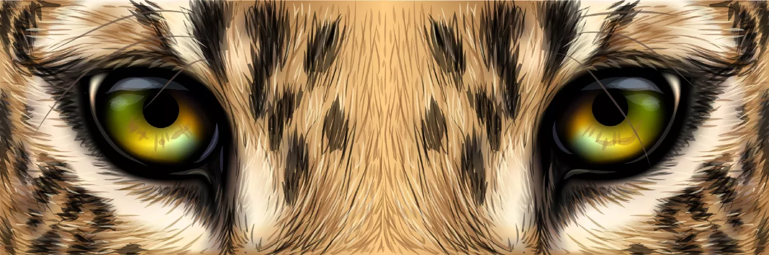 وکتور طراحی چشم های پلنگ