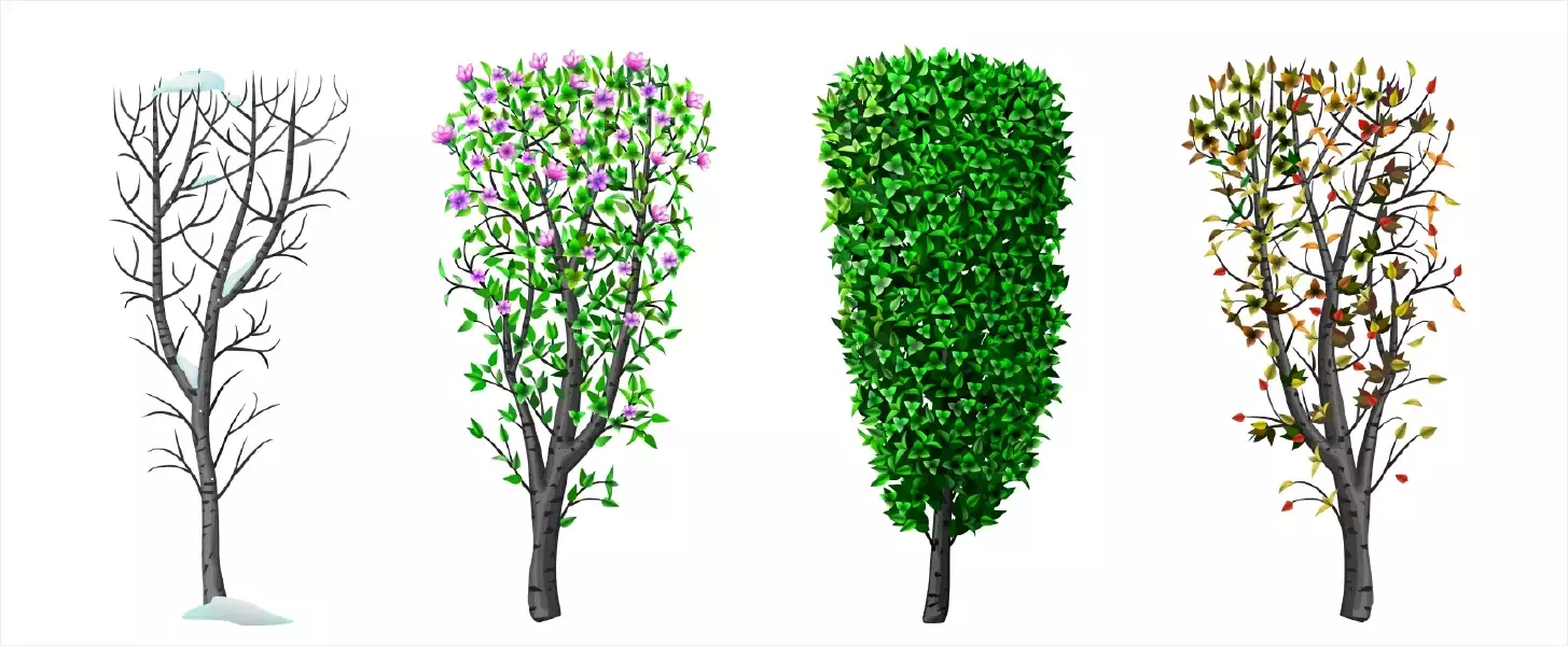 دانلود وکتور درخت در چهار فصل سال