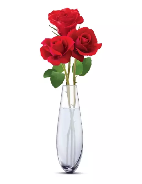 دانلود وکتور گلدان شیشه ای و گل رز قرمز