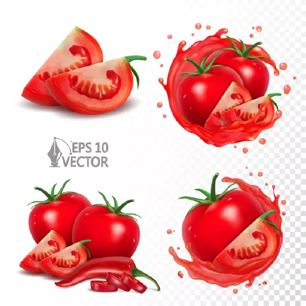 دانلود وکتور طراحی واقع بینانه گوجه فرنگی