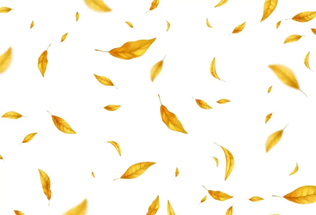 دانلود وکتور پس زمینه برگ زرد پاییز