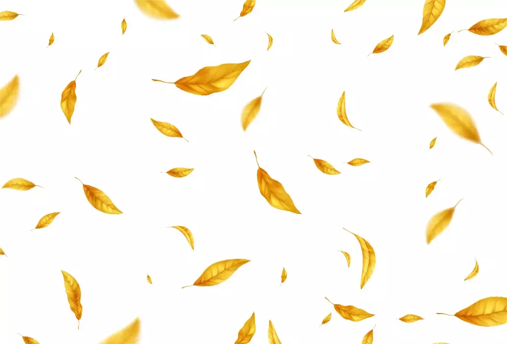دانلود وکتور پس زمینه برگ زرد پاییز