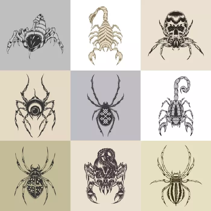 دانلود وکتور مجموعه طراحی شماره یک عقرب و عنکبوت