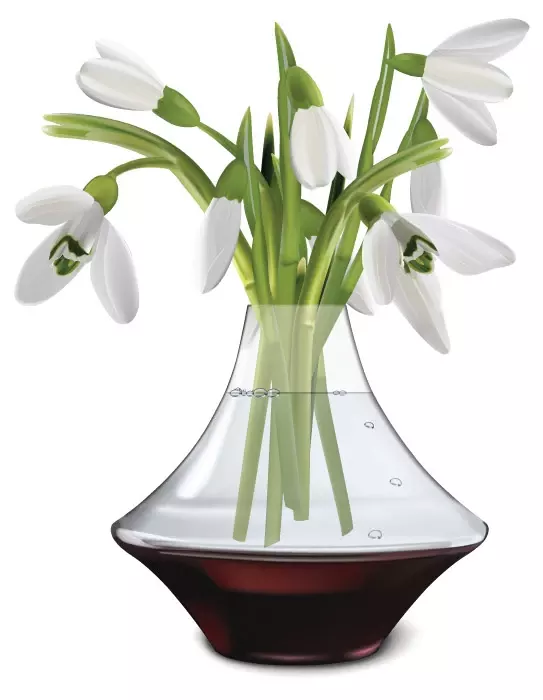 وکتور گل سفید طبیعی و گلدان شیشه ای