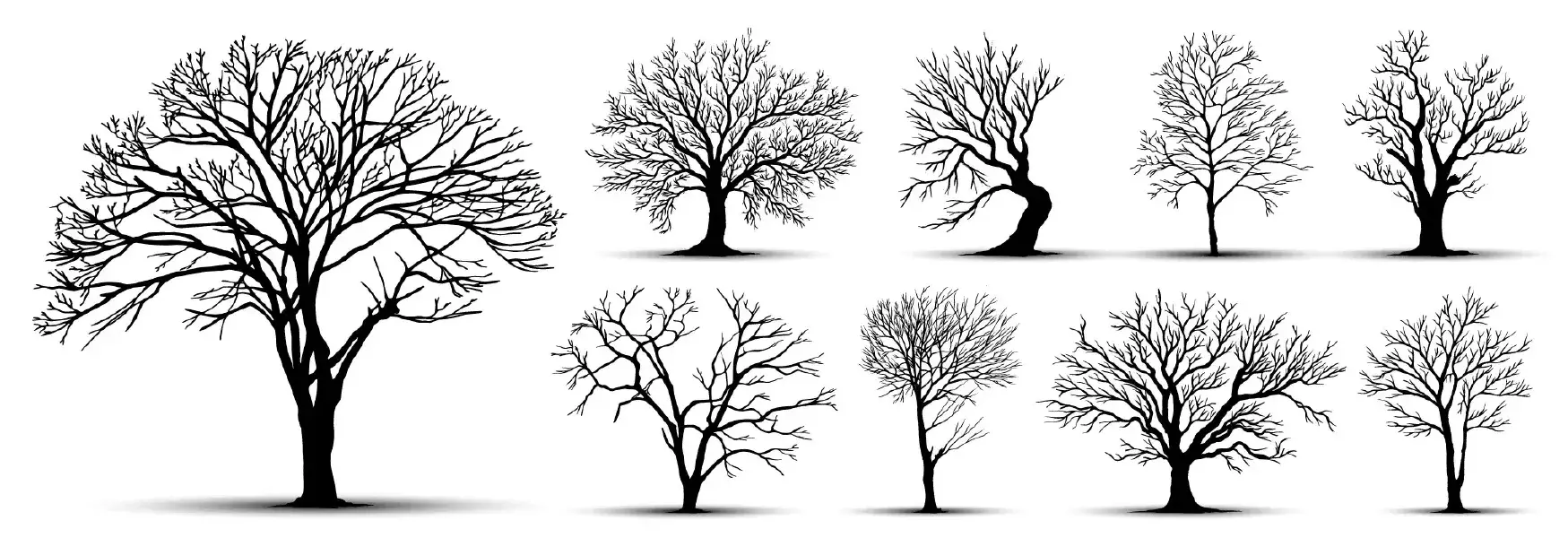 وکتور سیاه و سفید درخت