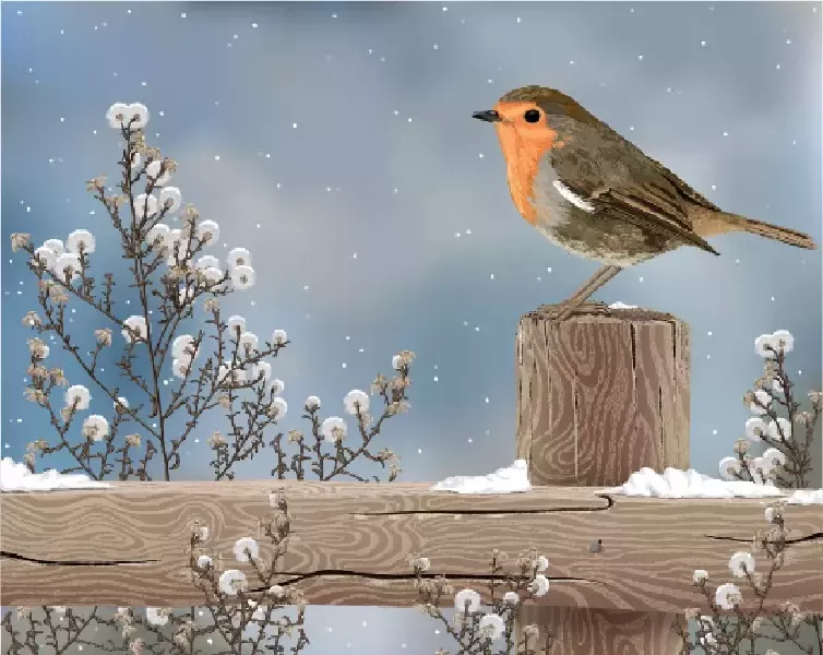 وکتور طراحی پرنده و فصل زمستان