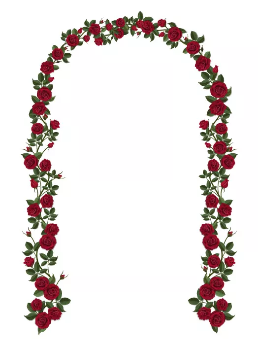 وکتور گل رز قرمز تزئینی ورودی