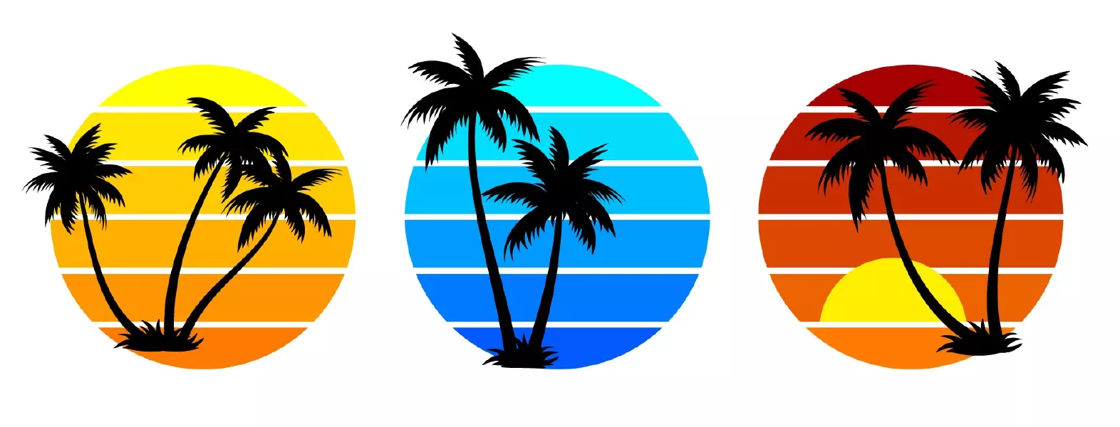 وکتور طراحی سیاه و سفید درخت نخل