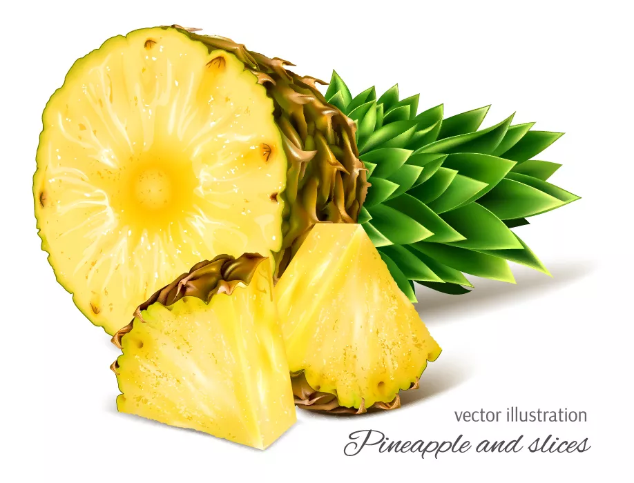 وکتور آناناس واقع بینانه شماره چهار