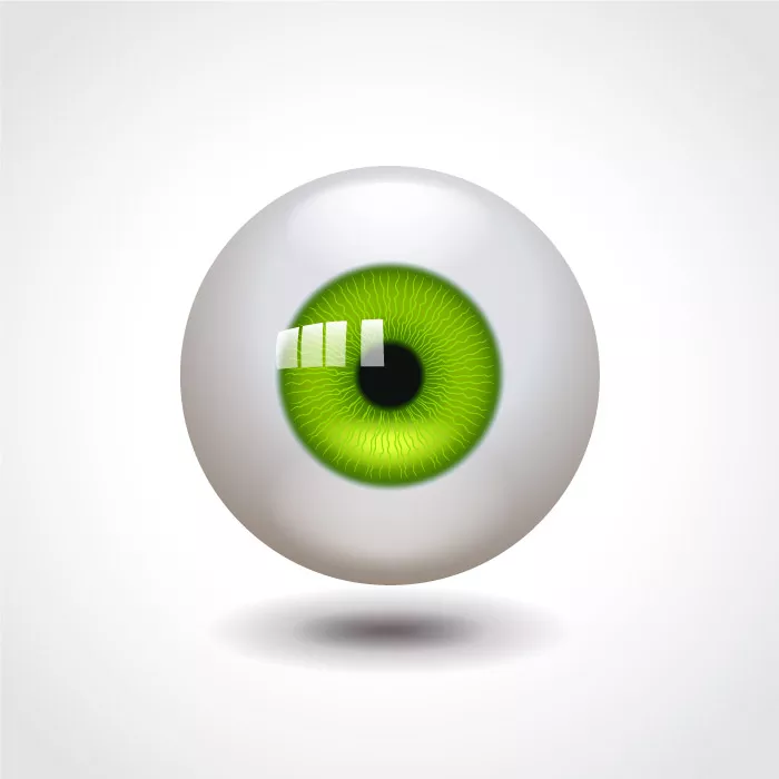 وکتور چشم انسان سبز رنگ شماره سه