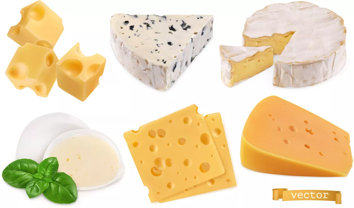 وکتور واقع بینانه پنیر
