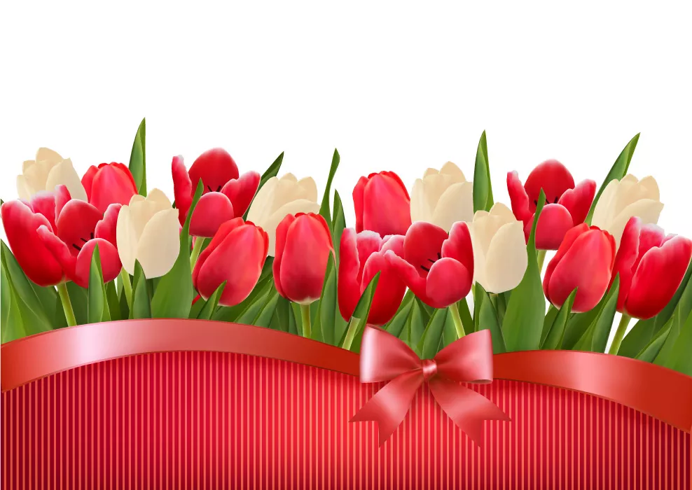 وکتور گل و گیاه لاله واقع بینانه شماره سه