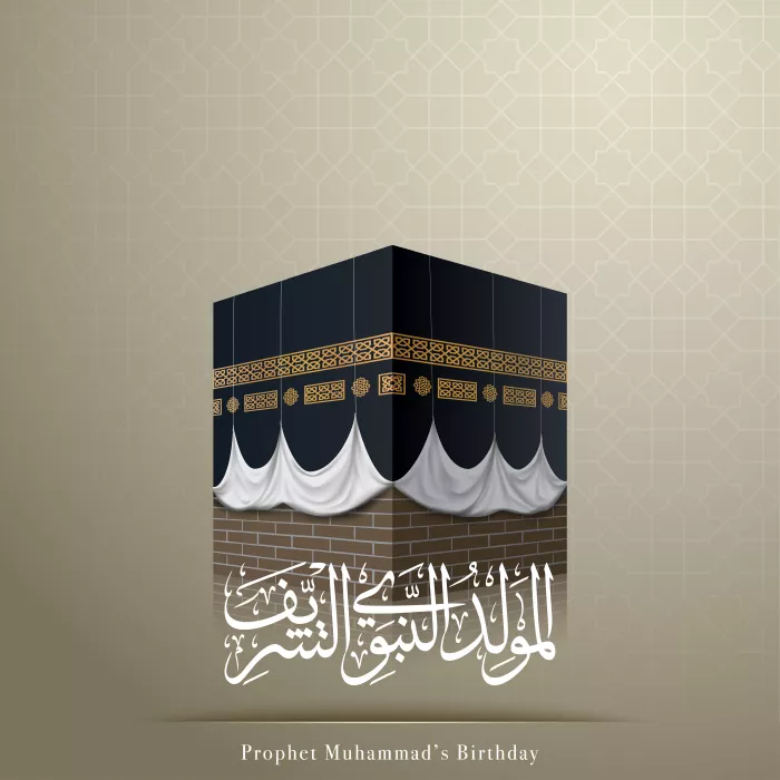 وکتور واقع بینانه خانه خدا