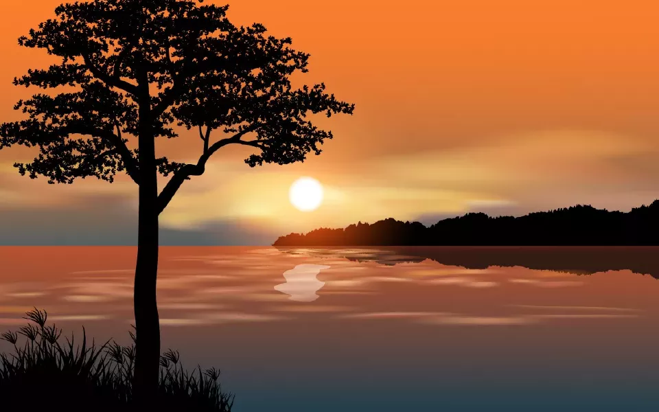 وکتور طراحی طبیعت و غروب