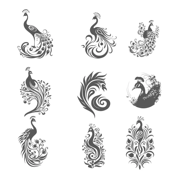 وکتور طراحی سیاه و سفید طاووس