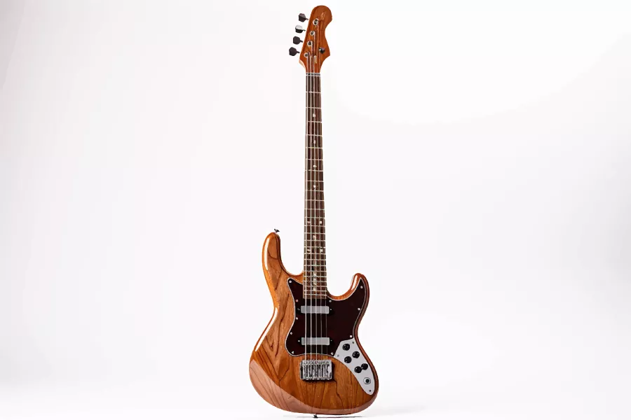 وکتور ساز گیتار واقع بینانه