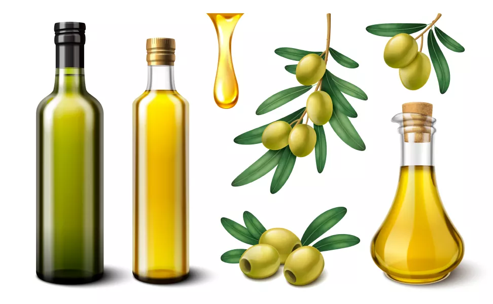 وکتور روغن زیتون واقع بینانه