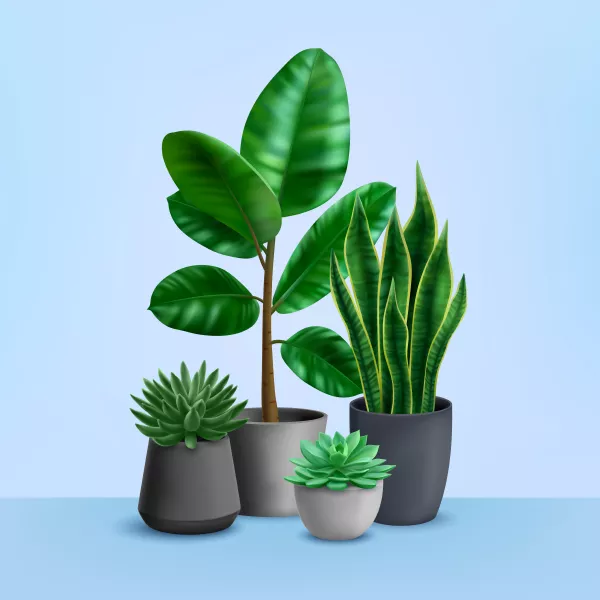 وکتور گل های آپارتمانی واقع بینانه