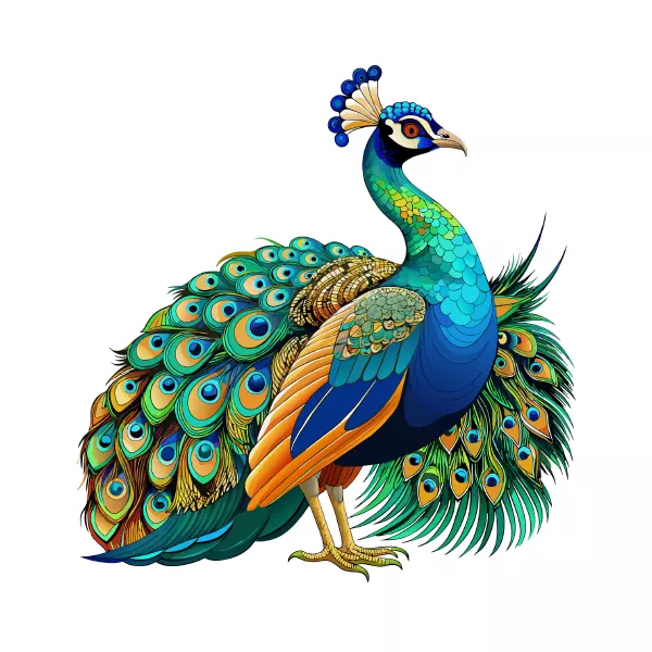 وکتور طراحی طاووس شماره سه